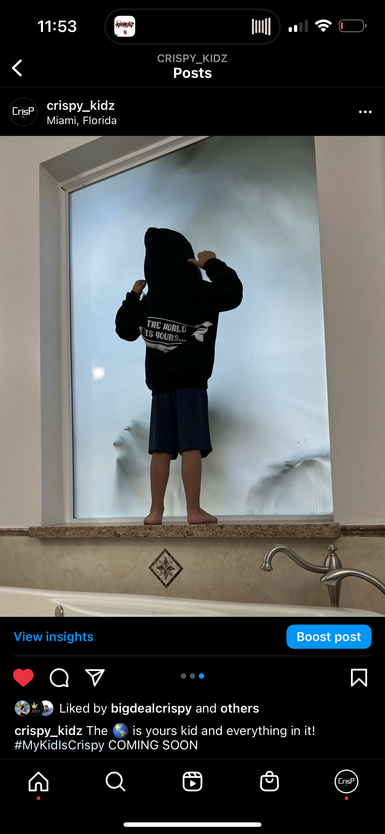 The World is Yours Hoodie Kidz - CrisP NYC